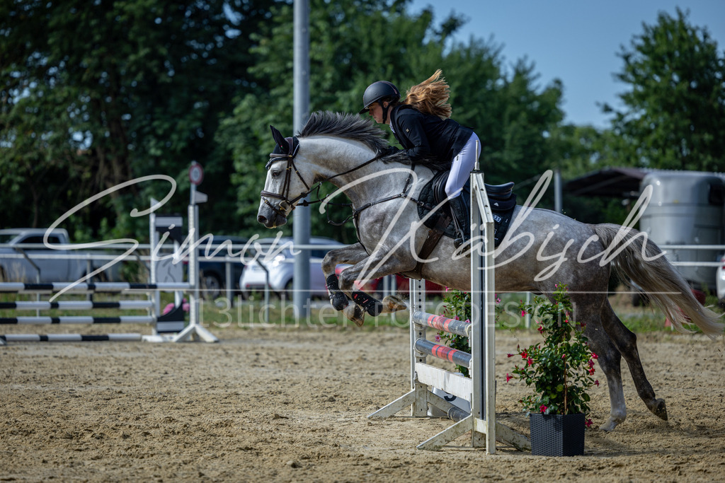 20260704-_3LI7117 | Tierfotografie Pferde, Hunde, Katzen, Haustiere.
Turnierfotografie Reitturniere, Reiten, Springreiten, Dressur in Hanau, dem Main-Kinzig-Kreis und dem Rhein-Main- Gebiet um Frankfurt