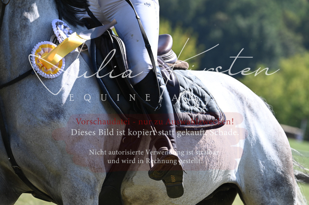 DSC_6508 | Pferde- und Turnierfotografie in Westsachsen. Pferdeportraits, Auftragszeichnungen und intuitive Kunst.