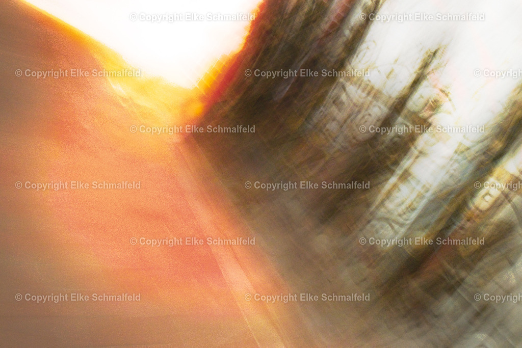 ins_Licht | Elke Schmalfeld - Realisiert mit Pictrs.com