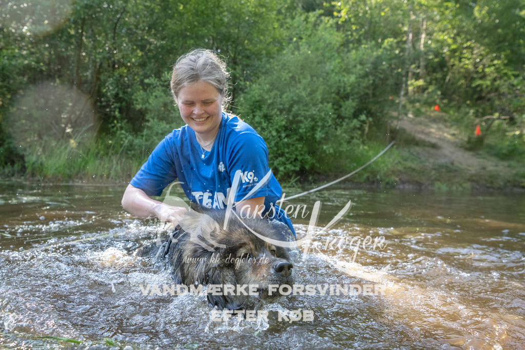 1710DKK991796 | kk-dogfotos