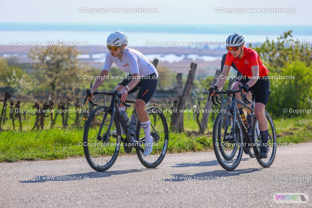 TRA_0246 | Neusiedlersee Radmarathon 2026@sportshot_your_pictrs #yourpictures#roadtowm2029 #nrm #neusiedlerseeradmarathon #neusiedlersee #neusiedlerseetourismus #burgenland #mörbisch #nrm26 #burgenlandtourismus #voglundco #poweredbyburgenlandtourismus #radsport #rad #marathon #ucigranfondo #visitburgenland #ucigranfondoworldseries