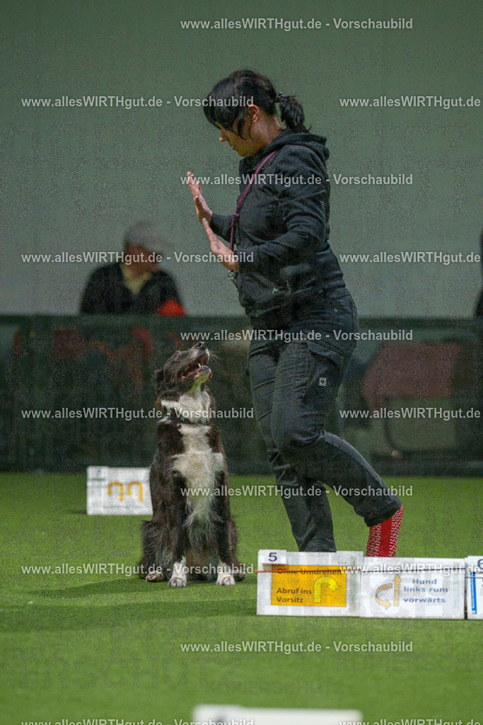 7R507286 | Professionelle Tierfotografie in Mönchengladbach von Daniel Wirth (allesWIRTHgut). Liebevolle & natürliche Bilder von Hunden & Katzen für unvergessliche Erinnerungen.