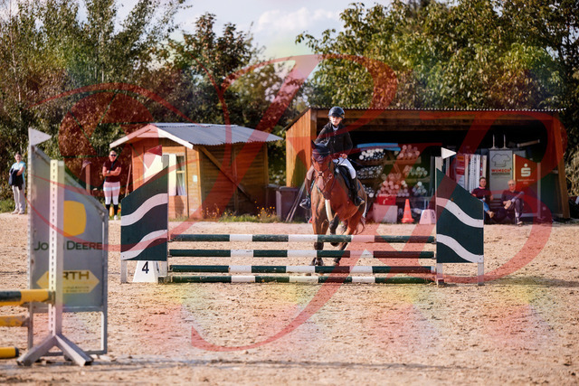2026_10_03_Siefer-Hof_154648_Z81_65610627 | Professionelle Reitsport-, Turnier- und Eventfotografie von Robert Broda. Galerien mit ausgewählten und bearbeiteten Bildern direkt online ansehen und bestellen.