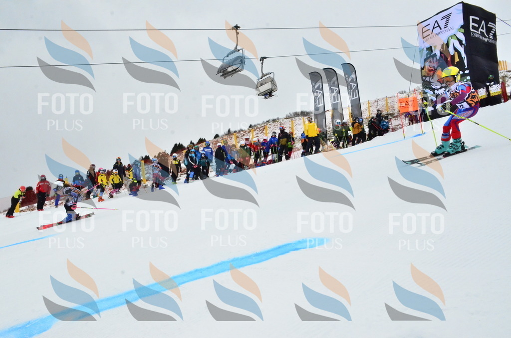 _ELE3339 | holidayphoto