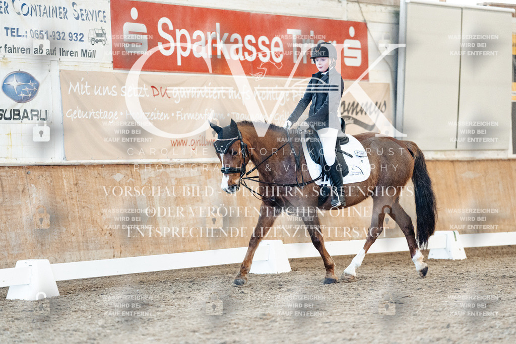 CK907111 | Turnierfotografie Pferdefotografie Trier Rheinland-Pfalz Pferdesport Reitsport Tierfotografie Sportfotografie Pferdevideo Pferdevideografie Equestrianvideography equestrianphotography  - Realized with Pictrs.com