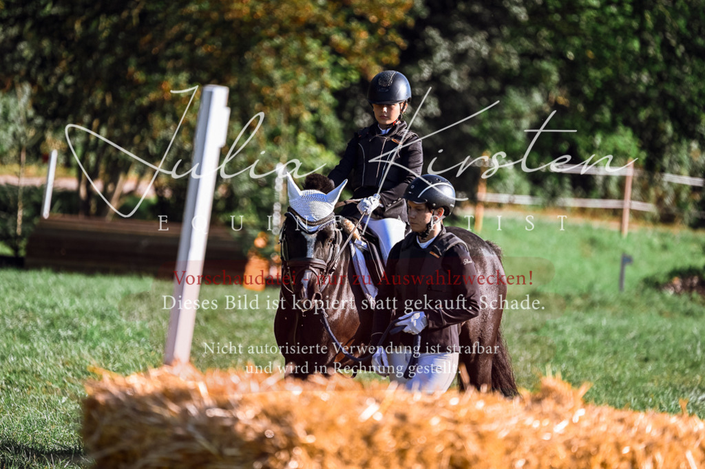 DSC_0353 | Pferde- und Turnierfotografie in Westsachsen. Pferdeportraits, Auftragszeichnungen und intuitive Kunst.