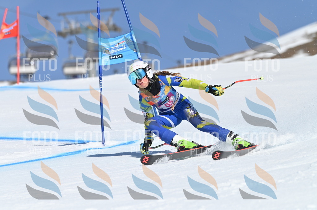 BGV_8627 | holidayphoto