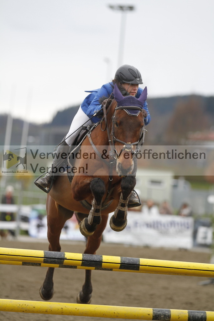 _MG_6026 | equestrian-live-com