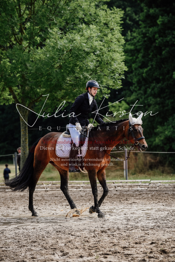DSC_9878 | Pferde- und Turnierfotografie in Westsachsen. Pferdeportraits, Auftragszeichnungen und intuitive Kunst.