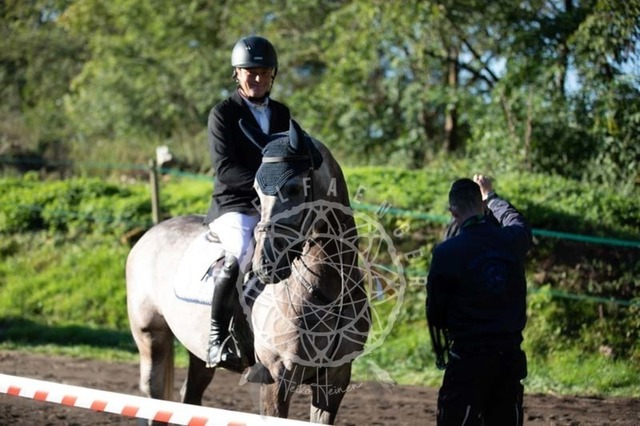 2B4A0091 | pixelfaenger - Realisiert mit Pictrs.com