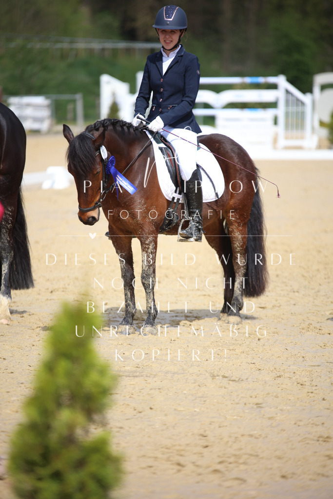 IMGT4377 | pl-fotografie