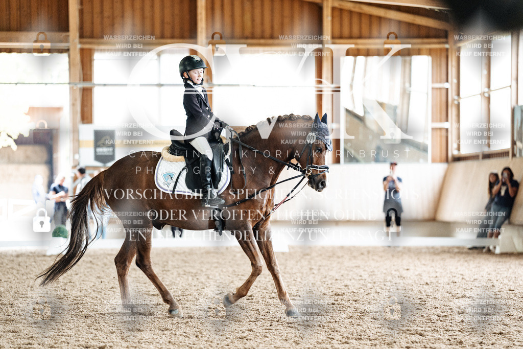 CK901675 | Turnierfotografie Pferdefotografie Trier Rheinland-Pfalz Pferdesport Reitsport Tierfotografie Sportfotografie Pferdevideo Pferdevideografie Equestrianvideography equestrianphotography  - Realized with Pictrs.com
