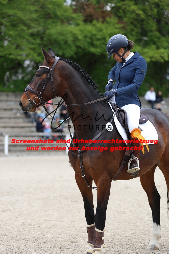 A40A4668 | lmwpictures - Realisiert mit Pictrs.com