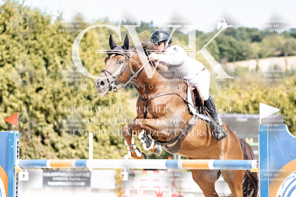 CK904987 | Turnierfotografie Pferdefotografie Trier Rheinland-Pfalz Pferdesport Reitsport Tierfotografie Sportfotografie Pferdevideo Pferdevideografie Equestrianvideography equestrianphotography  - Realisiert mit Pictrs.com