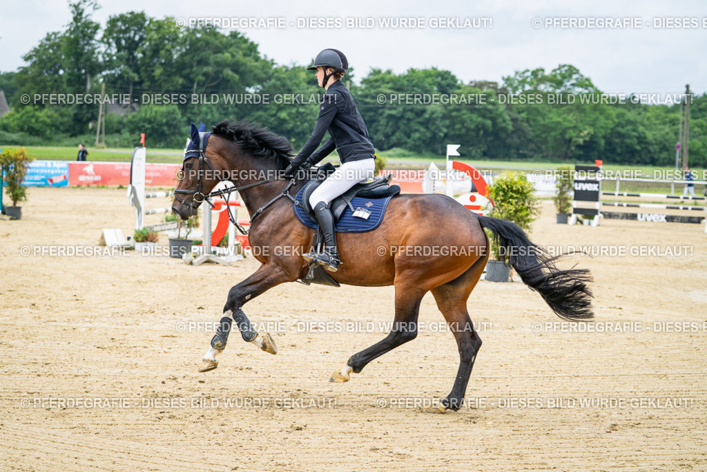 DSC03474 | Pferdegrafie