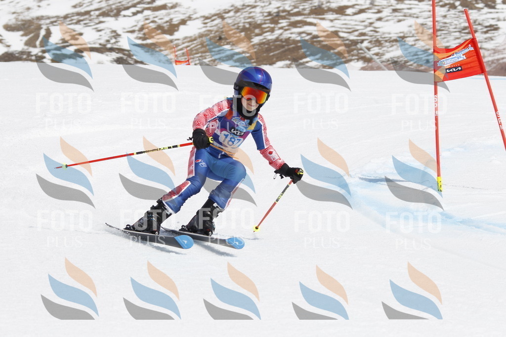 _U3G1857 | holidayphoto