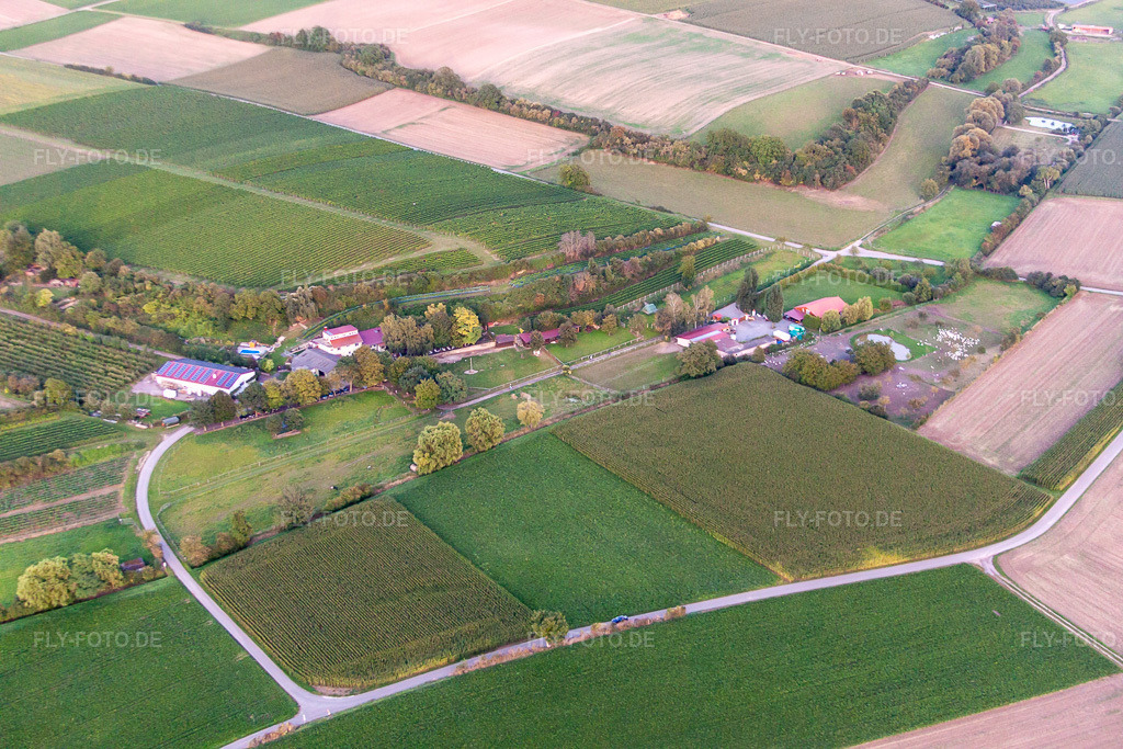 Luftbild: Wagnerranch in Herxheim bei Landau im Bundesland Rheinland-Pfalz in Deutschland. Foto: IMG_71306.jpg vom 27.08.2014 durch Werner Riehm/FLY-FOTO.de
