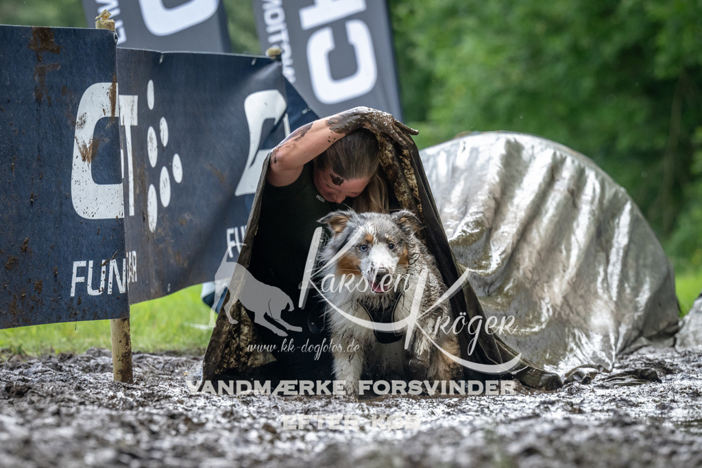 1146_ZZ94198 | kk-dogfotos