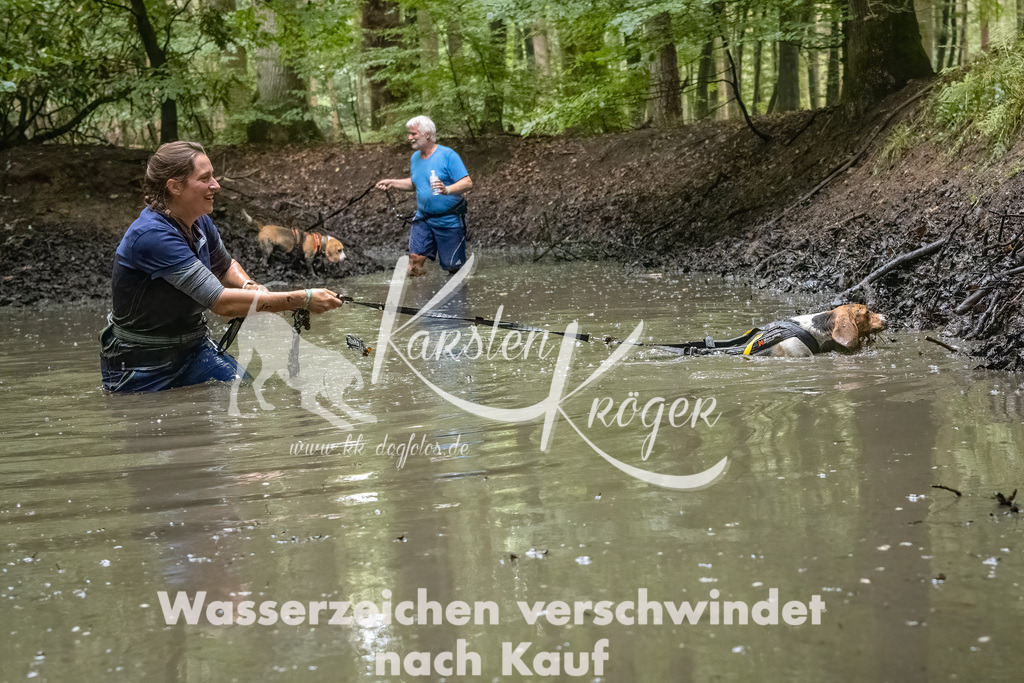 1119_ZZ90659-Bearbeitet-2 | kk-dogfotos