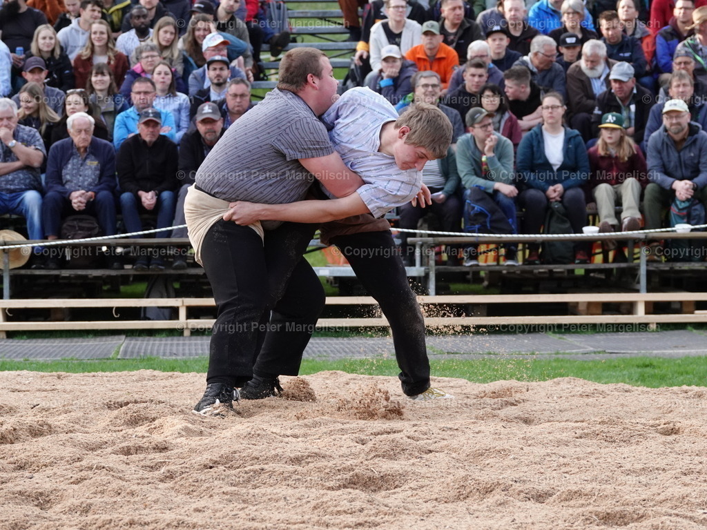 DSC07041 | Schwingen - Realisiert mit Pictrs.com