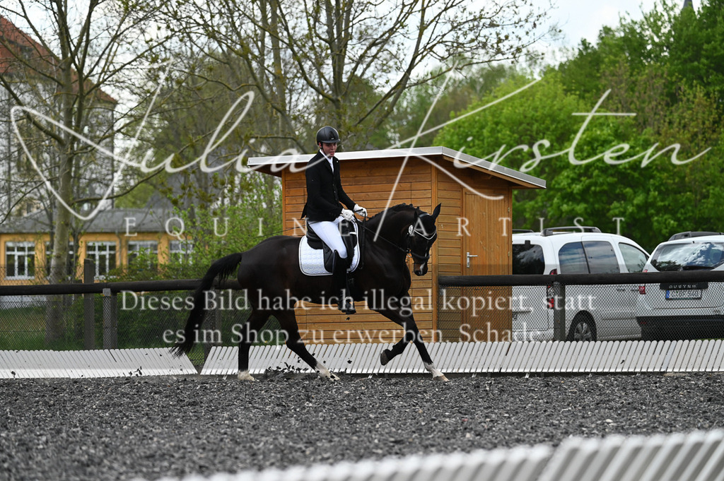 20230512_JK-Röhrsdorf-08-077 | Pferde- und Turnierfotografie in Westsachsen. Pferdeportraits, Auftragszeichnungen und intuitive Kunst.