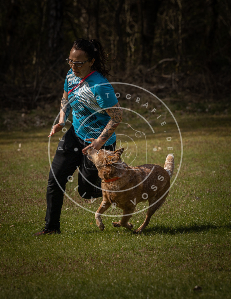 Pfotenfotografie_DV3A4869 | Hundefotografie, Tierfotograf, Pfotenfotografie, Fotoshooting Hund, Hunde Portrait, Hundesport, Hundeportraits, Heideshooting, Hunde, Sportfotograf, Hundefotograf, Turnierhundsport, THS,  - Realisiert mit Pictrs.com