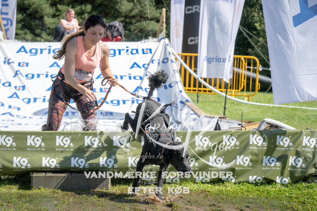 1135_ZZ92877 | kk-dogfotos