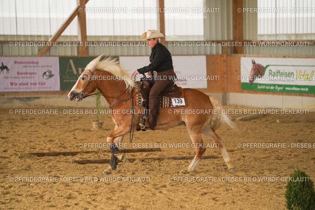 DSC02913 | Pferdegrafie