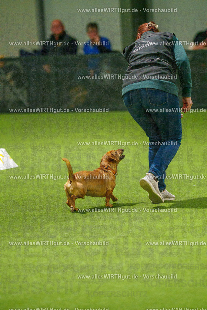 7R508618 | Professionelle Tierfotografie in Mönchengladbach von Daniel Wirth (allesWIRTHgut). Liebevolle & natürliche Bilder von Hunden & Katzen für unvergessliche Erinnerungen.