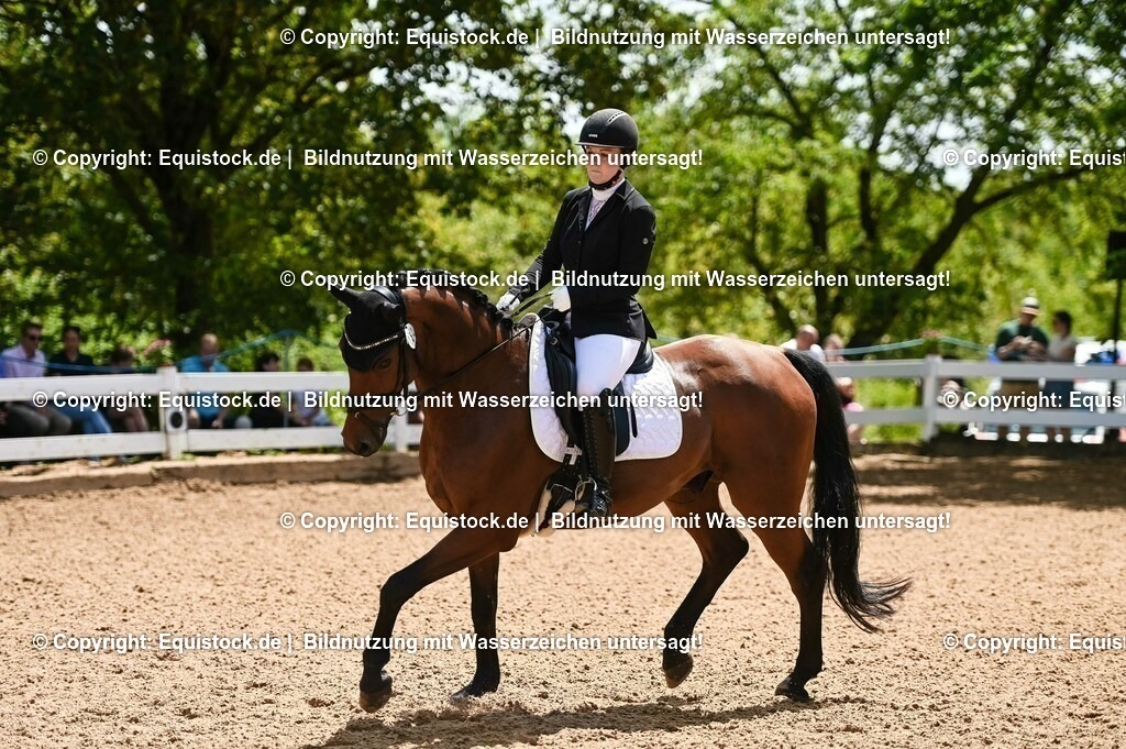 20230716_03_Dressurprfg. Kl.L - Tr._0079 | equistock