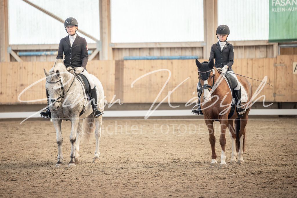 20251011-_3LI6836 | Tierfotografie Pferde, Hunde, Katzen, Haustiere.
Turnierfotografie Reitturniere, Reiten, Springreiten, Dressur in Hanau, dem Main-Kinzig-Kreis und dem Rhein-Main- Gebiet um Frankfurt