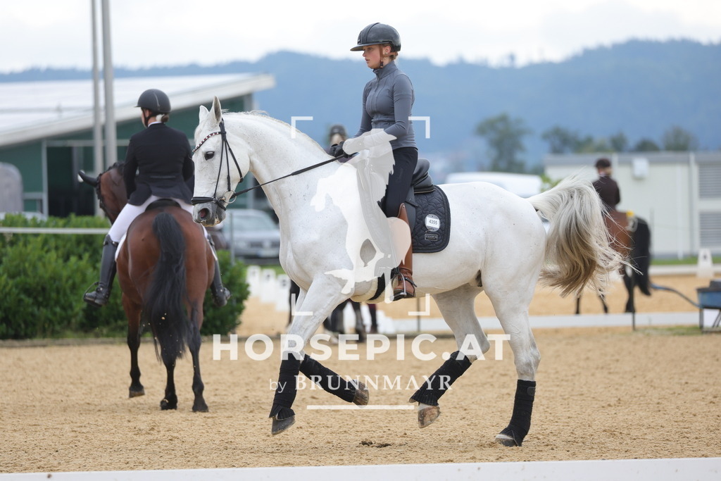 0P6A8162 | Willkommen bei Brunnmayr - Design & Fotografie – Ihrem Spezialisten für Reitturniere und Pferdeveranstaltungen in Oberösterreich, Salzburg und Bayern! Seit über 17 Jahren sind wir leidenschaftlich dabei.