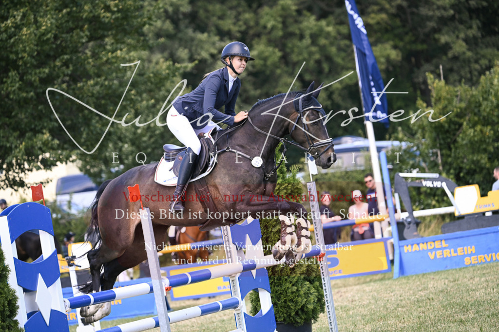 DSC_0300 | Pferde- und Turnierfotografie in Westsachsen. Pferdeportraits, Auftragszeichnungen und intuitive Kunst.