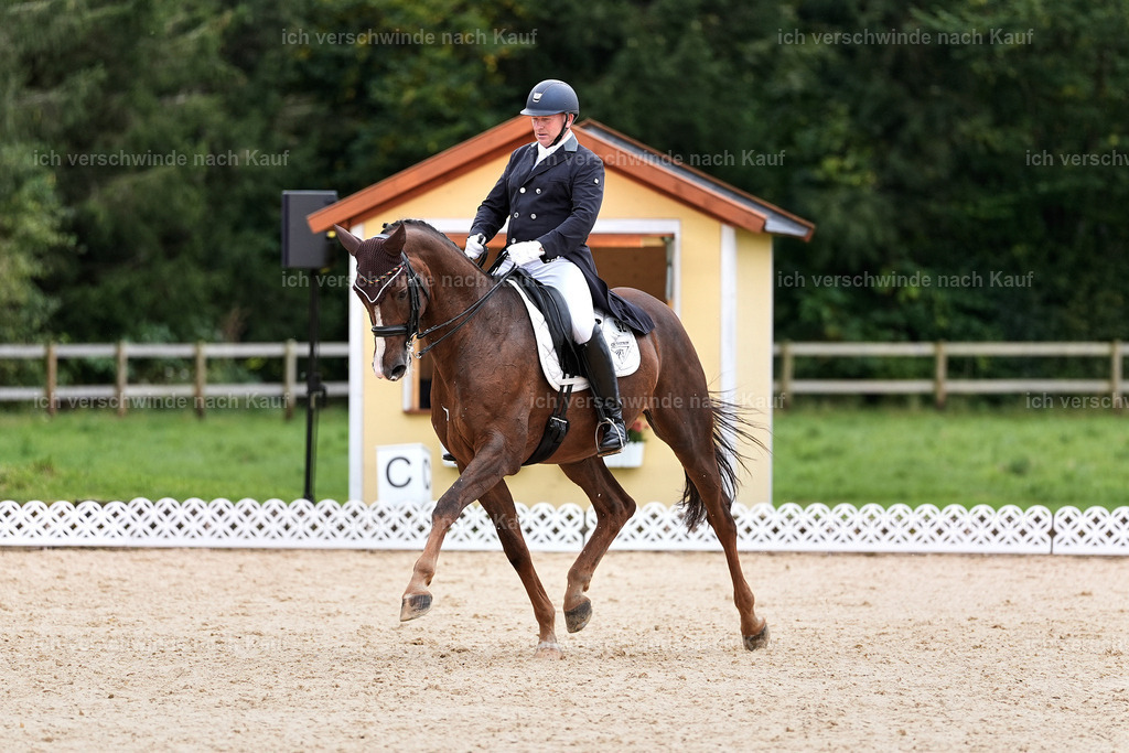 11-092-Dressur S___-Marixx-1617 | working equitationturnier fotograf videograf stoibphotography marixx film working equitation deutschland reitsport turnierfotografie eventfotografie equestrian events