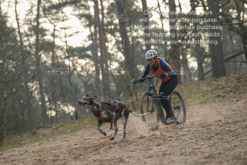 Scooter1-7 | stephaniefillaphotographie - Realisiert mit Pictrs.com