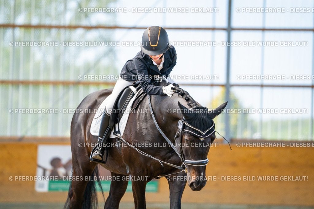 DSC09553 | Pferdegrafie