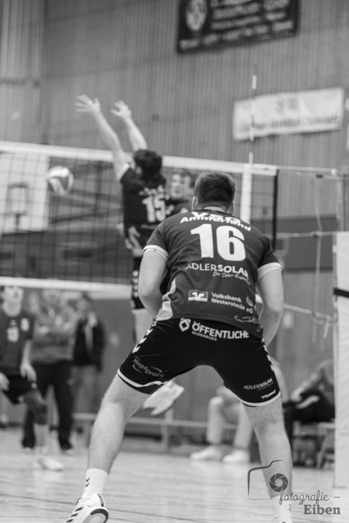 Oldenburger TB-VSG Ammerland | Volleyball Regionalliga; Oldenburger TB-VSG Ammerland am 24.01.2026 in Oldenburg (Sporthalle Haarenesch), Photo: Philip Eiben 2026 - Realisiert mit Pictrs.com