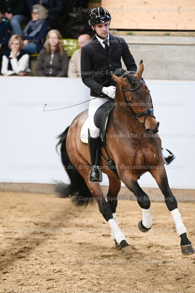 20260307_Hengstvorstellung-Marbach_0065 | equistock