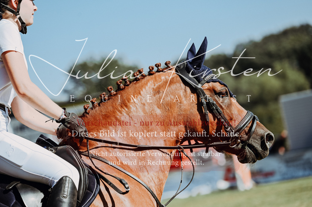 DSC_6890 | Pferde- und Turnierfotografie in Westsachsen. Pferdeportraits, Auftragszeichnungen und intuitive Kunst.