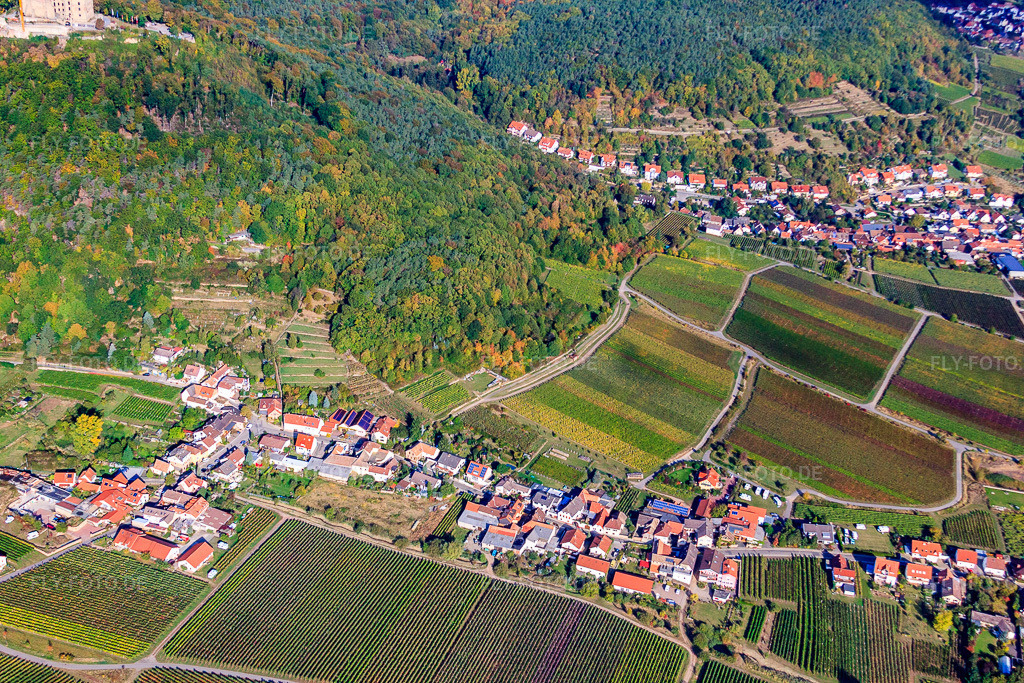 Luftbild: Andergasse von Süden im Ortsteil Diedesfeld in Neustadt im Bundesland Rheinland-Pfalz in Deutschland. Foto: IMG_22112.jpg vom 15.10.2009 durch Werner Riehm/FLY-FOTO.de