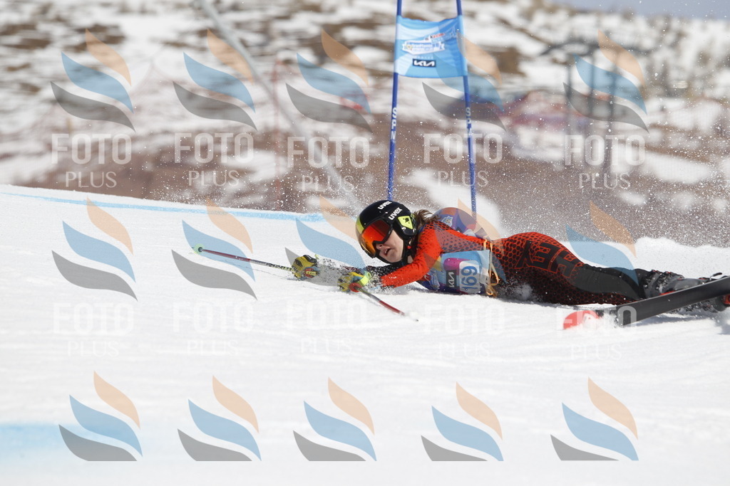 _U3G1531 | holidayphoto