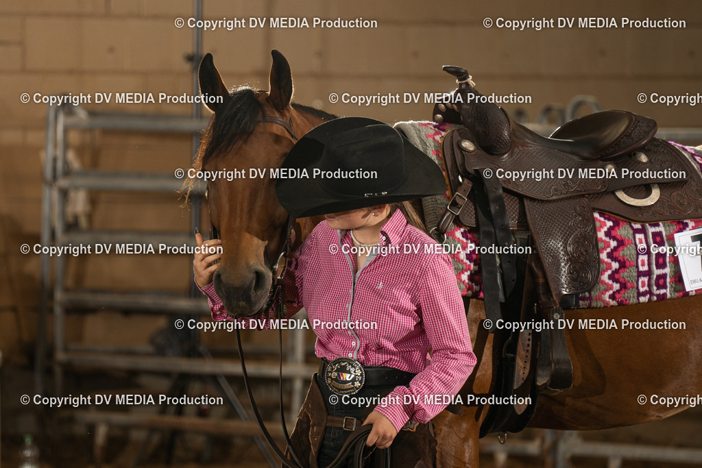 NID01602 | dv-media-shop - Realisiert mit Pictrs.com