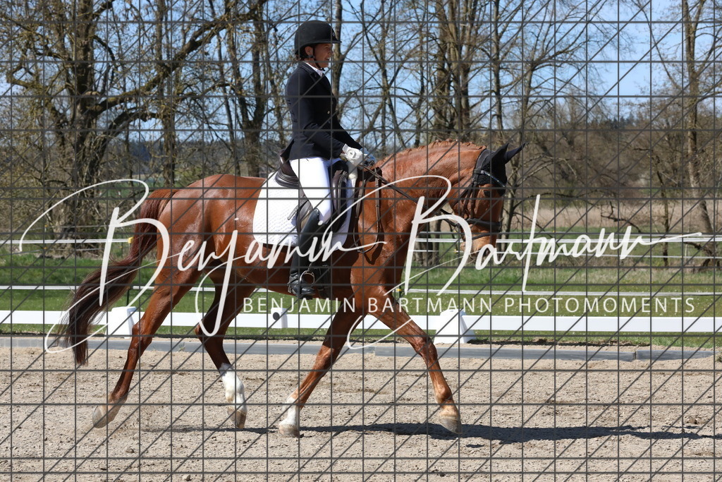 AZ2A4496 | Benjamin Bartmann Photomoments