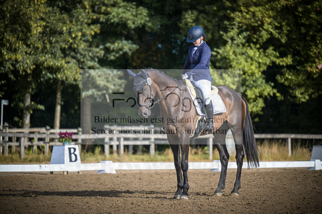 DOS_0499 | Entdecke hochwertige Reitturnierfotos von Foto Oger. Professionell, emotional und authentisch – jetzt Lieblingsmomente im Shop bestellen.Deutschlandweite Turnierfotografie. - Realisiert mit Pictrs.com