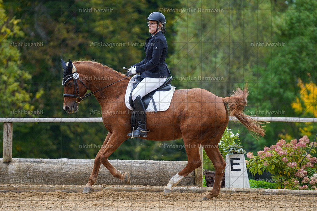 20221008-FAH01723 | Diessen am Ammersee, 2022, Dressur- und Springturnier, Reitsportbilder, Turnierfotografen Bayern, Pferdefotografen, Fotoagentur Herrmann, Turnierbilder