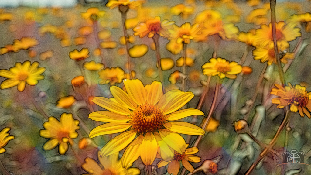 Arnika - 4k - DigiART | Entdecken Sie eine vielfältige Auswahl individueller Fotos zum Kauf auf picturalux.de. Finden Sie hochwertige Bilder für Ihre Projekte, die Ihre Botschaft perfekt unterstreichen. Stöbern Sie jetzt und verleihen Sie Ihren Inhalten das gewisse Etwas! - Realisiert mit Pictrs.com