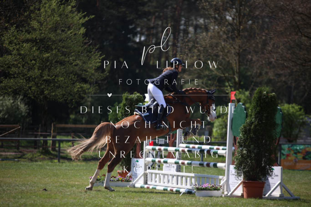 IMGT5617 | pl-fotografie