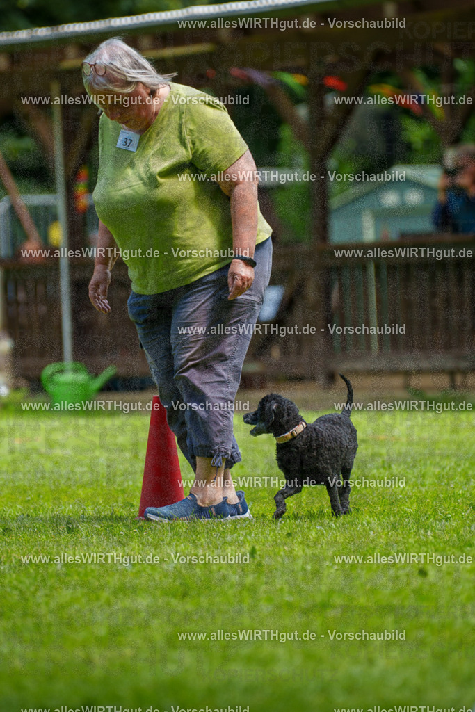 @allesWIRTHgut_Tierfotografie - www.allesWIRTHgut.de - 125128-7R509517 | Professionelle Tierfotografie in Mönchengladbach von Daniel Wirth (allesWIRTHgut). Liebevolle & natürliche Bilder von Hunden & Katzen für unvergessliche Erinnerungen.