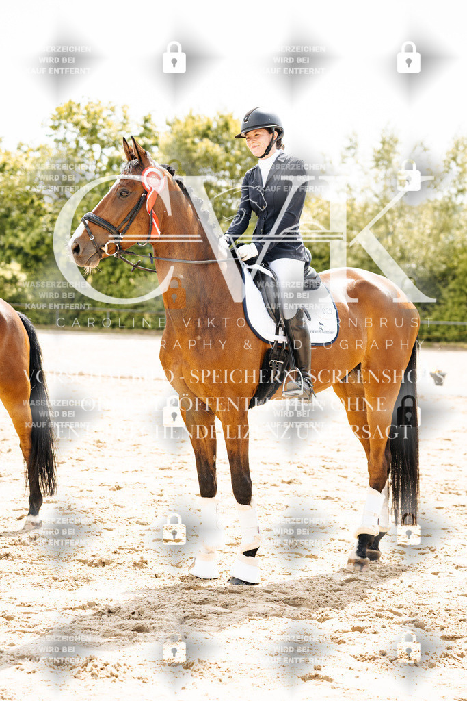 CK703625 | Turnierfotografie Pferdefotografie Trier Rheinland-Pfalz Pferdesport Reitsport Tierfotografie Sportfotografie Pferdevideo Pferdevideografie Equestrianvideography equestrianphotography  - Realisiert mit Pictrs.com