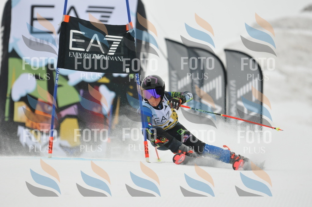 DSC_8506 | holidayphoto